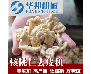 核桃仁脱皮机 华邦物理脱衣设备