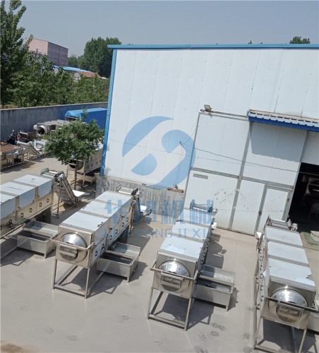 可调速核桃仁脱衣机 去皮核桃仁