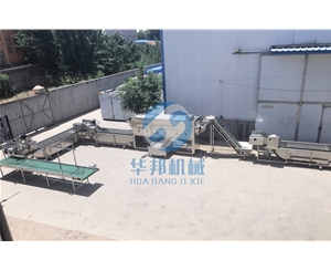 不同品种进行去皮  华邦机械核桃仁去衣机