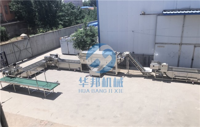 不同品种进行去皮  华邦机械核桃仁去衣机
