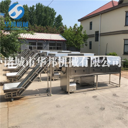 定制安装核桃仁去皮流水线 华邦机械