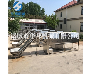 定制安装核桃仁去皮流水线 华邦机械