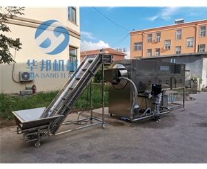 新疆核桃仁去皮机 核桃仁去皮机厂家 终生维护