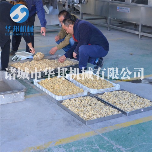 核桃仁脱皮机 华邦机械大批量核桃仁去衣设备