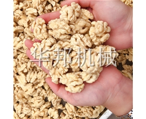 华邦机械核桃仁脱衣机 去衣核桃仁