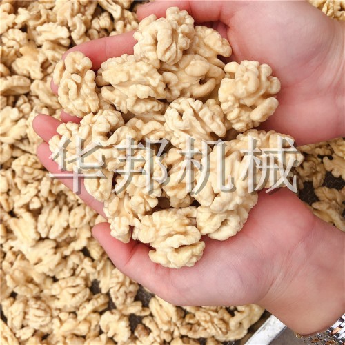 华邦机械核桃仁脱衣机 去衣核桃仁