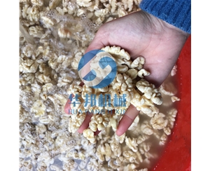 核桃仁去皮机 纯物理一人操作核桃仁脱衣机