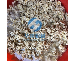 一人操作核桃仁去皮机 核桃仁深加工华邦机械