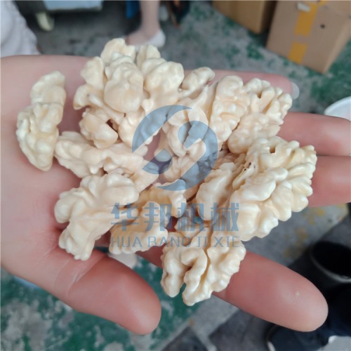 2019不限品种核桃仁去皮机 物理去皮