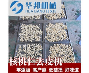 核桃仁脱皮机 自来水去皮 核桃仁去皮机供应商