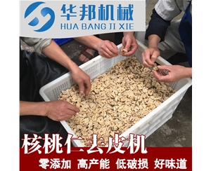 物理核桃仁去皮机厂 根据厂房定制 去核桃仁内皮的机器