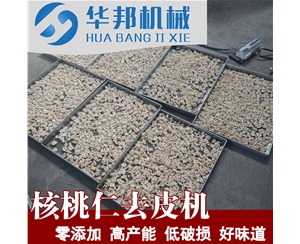 核桃仁去皮机  纯水0添加快速去皮