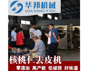核桃加工设备 提供视频