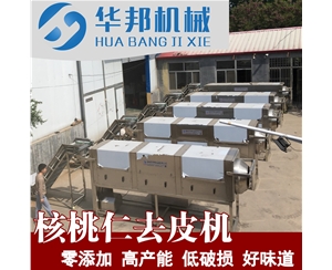 LN核桃仁去皮机 新疆核桃仁去皮机价格