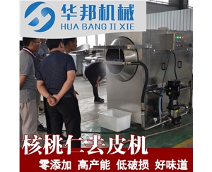 技术性核桃仁去皮机