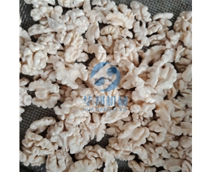 核桃仁深加工设备 核桃仁去衣机