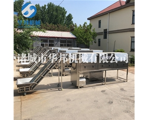 纯物理核桃仁去皮机 全自动核桃仁去皮生产线
