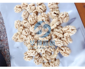 脱皮率99% 核桃仁脱皮机