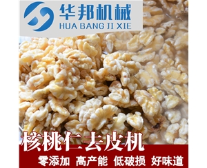 先进核桃仁去皮机 华邦核桃仁去皮机流水线