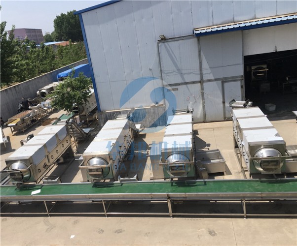 抚顺核桃仁去皮机加工  华邦机械提供