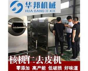 核桃仁去皮机 视频