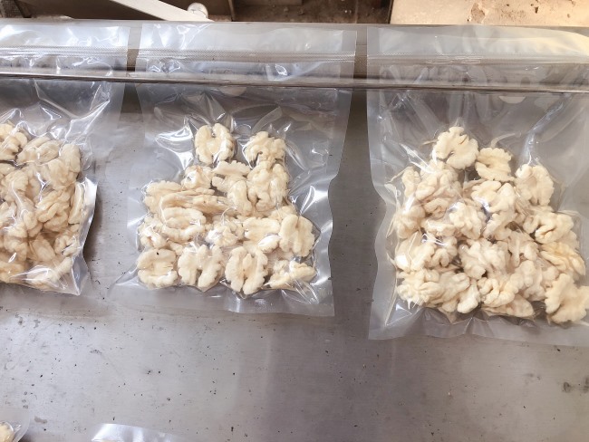 压力可调清水核桃仁脱皮机 核桃仁去皮设备