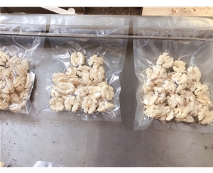 压力可调清水核桃仁脱皮机 核桃仁去皮设备