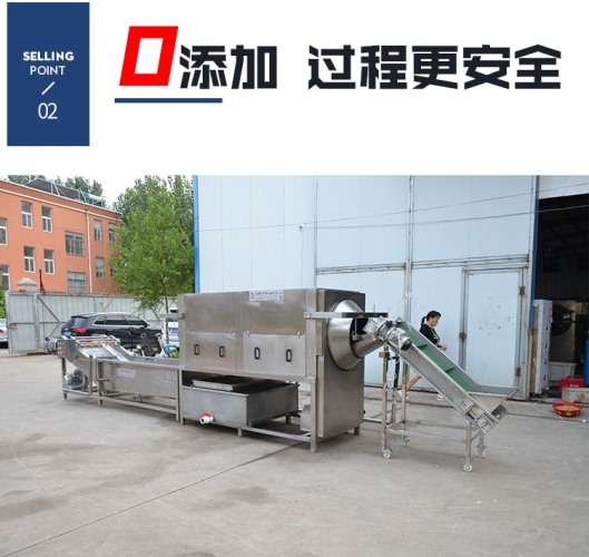 全自动 核桃仁去皮机