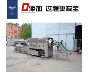 全自动 核桃仁去皮机
