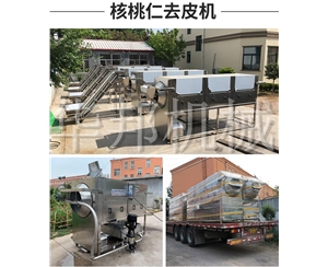 核桃仁去皮机 品种无限制