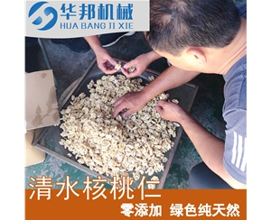 无碱核桃仁去皮机 诸城核桃仁脱皮机