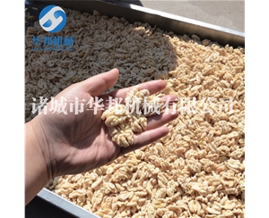 提供各种规格 核桃仁去皮机 现货
