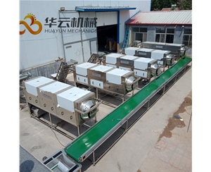 0化学核桃仁去皮机 2年质保
