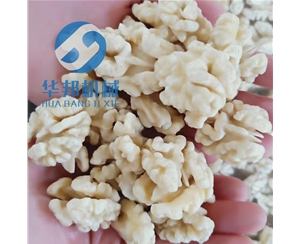 核桃仁去皮机 用于桃仁苦衣去除