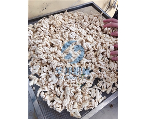 不加药水 核桃仁脱皮机