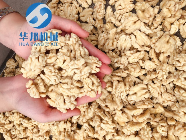 物理性质核桃仁去皮机