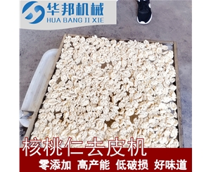 754净水核桃仁去皮机 自来水去皮