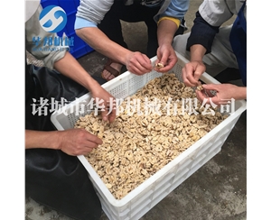 一级核桃仁去衣机