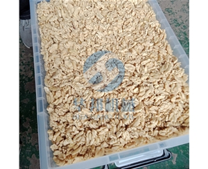 头路核桃去皮机 2019加大尺寸
