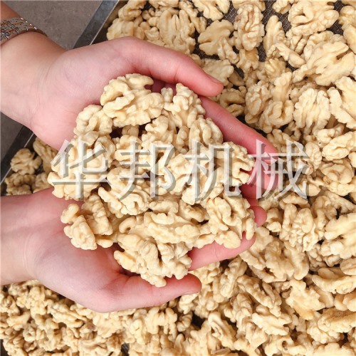 新款核桃仁脱皮机 华邦机械去衣核桃仁