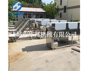 核桃仁去衣机 纯物理核桃仁去皮机