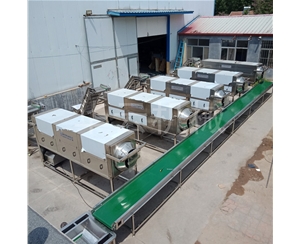 核桃仁脱衣机 华邦机械去衣核桃仁