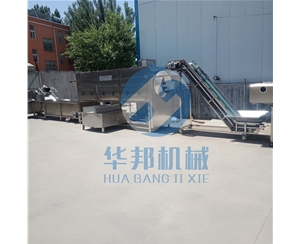 核桃仁去皮机 核桃仁脱衣流水线