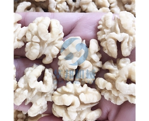 滚筒核桃仁去皮机 物理工艺