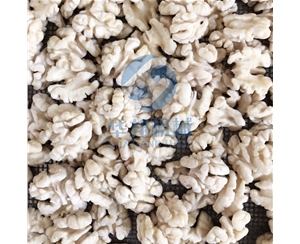全自动核桃加工流水线