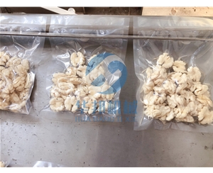 【多型号】核桃仁去皮机