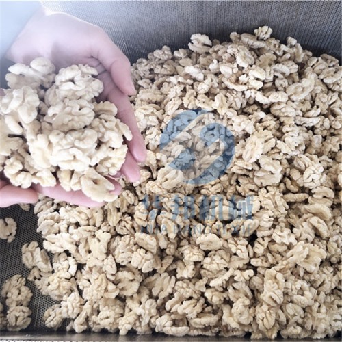 全自动核桃加工流水线