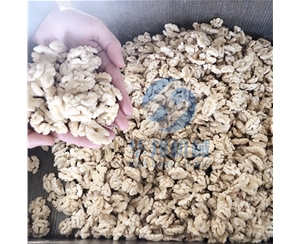 全自动核桃加工流水线