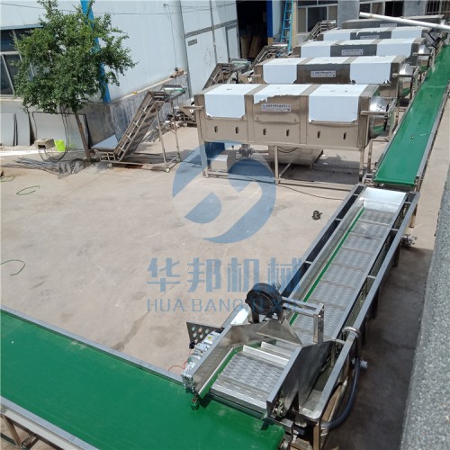 核桃仁去皮机 大型核桃仁脱衣生产线