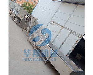 【省人工】核桃仁脱衣生产线 核桃仁去皮机
